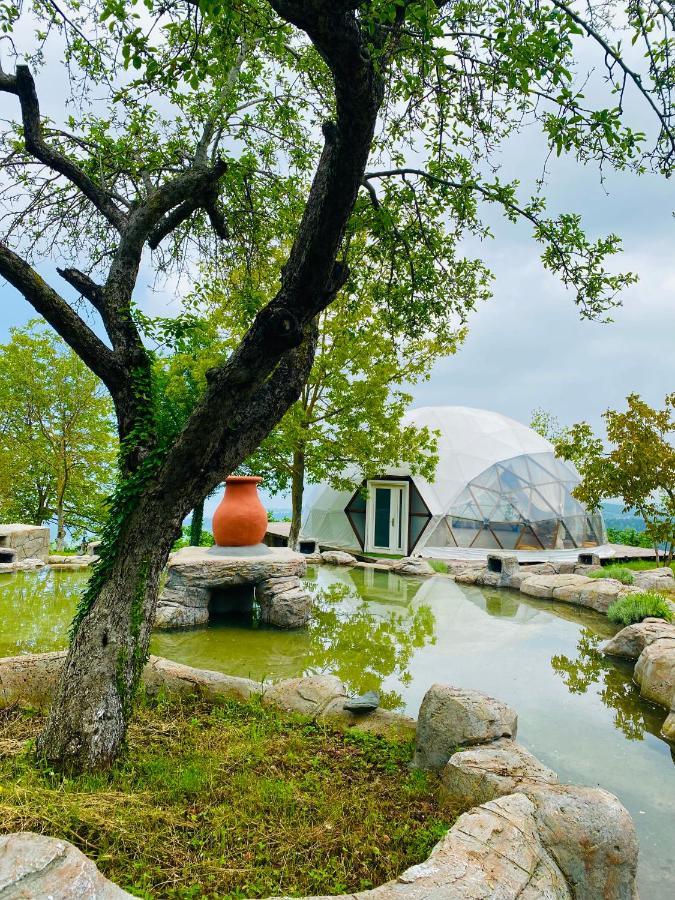 Phalesia Glamping Otel Сапанча Экстерьер фото