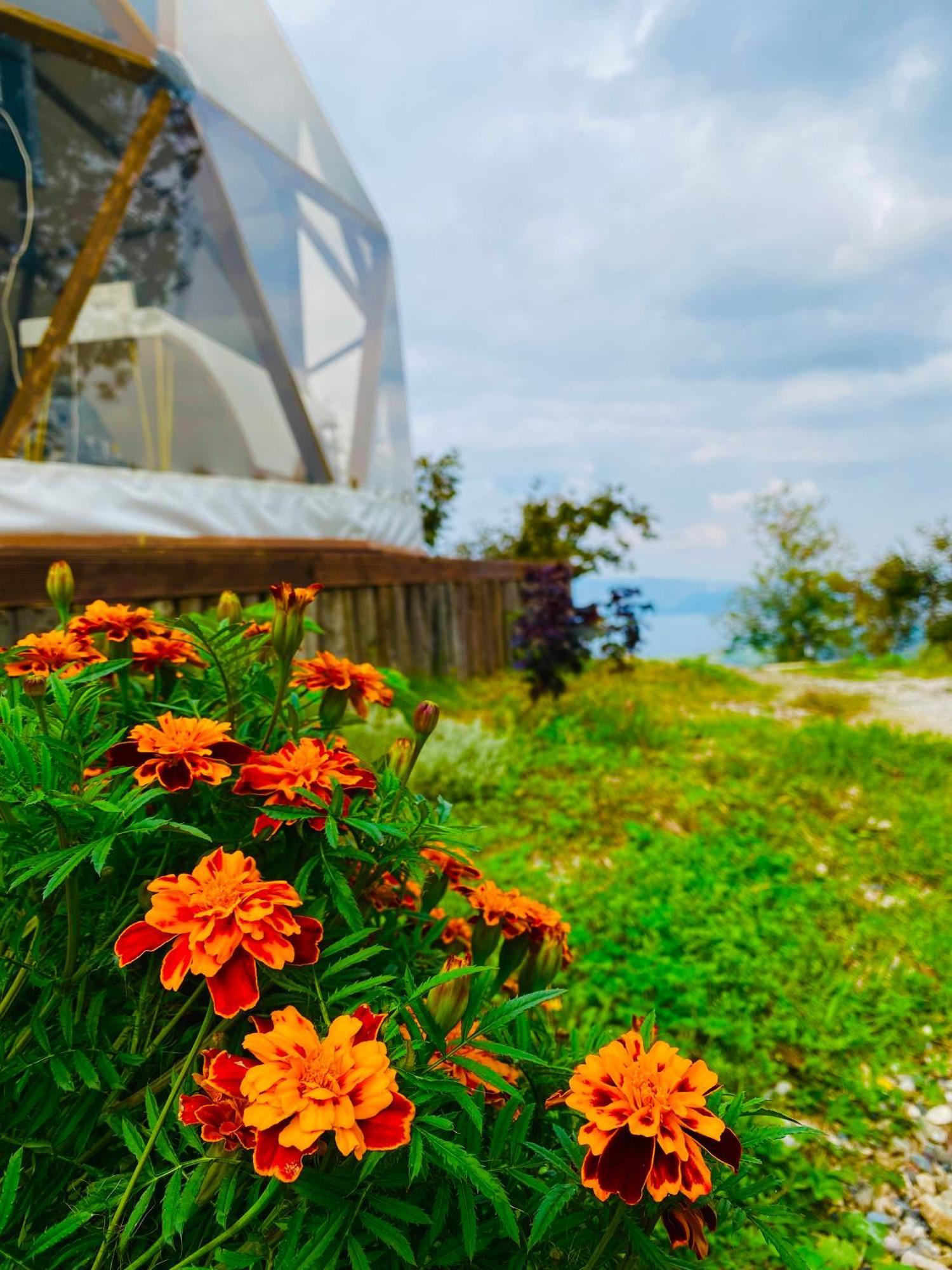 Phalesia Glamping Otel Сапанча Экстерьер фото